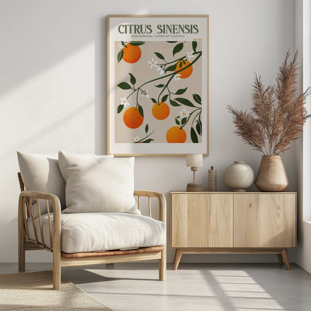 Citrus Sinensis - Orange Poster