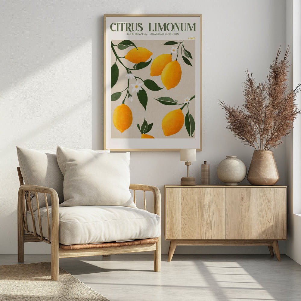 Citrus Limonum - Lemon Poster