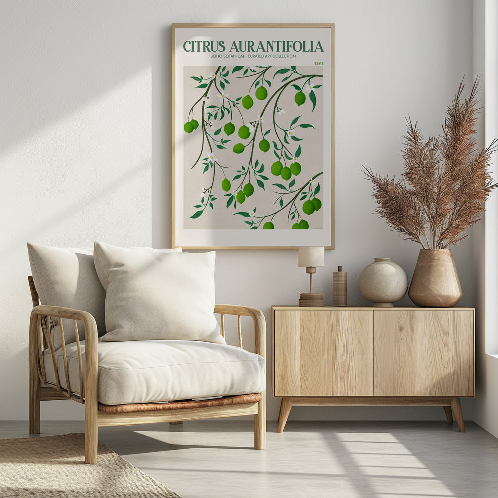 Citrus Aurantifolia - Lime Poster