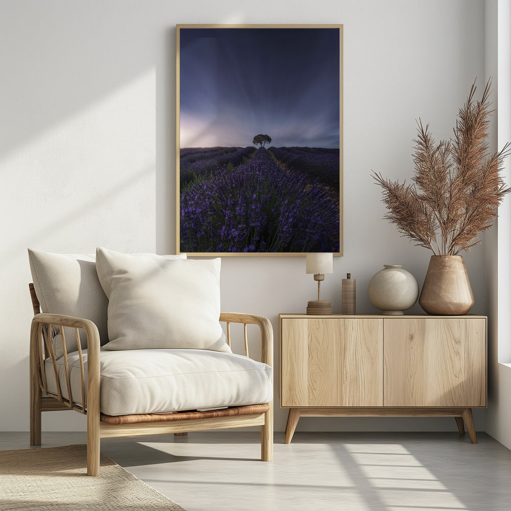 The tree and the lavender Poster