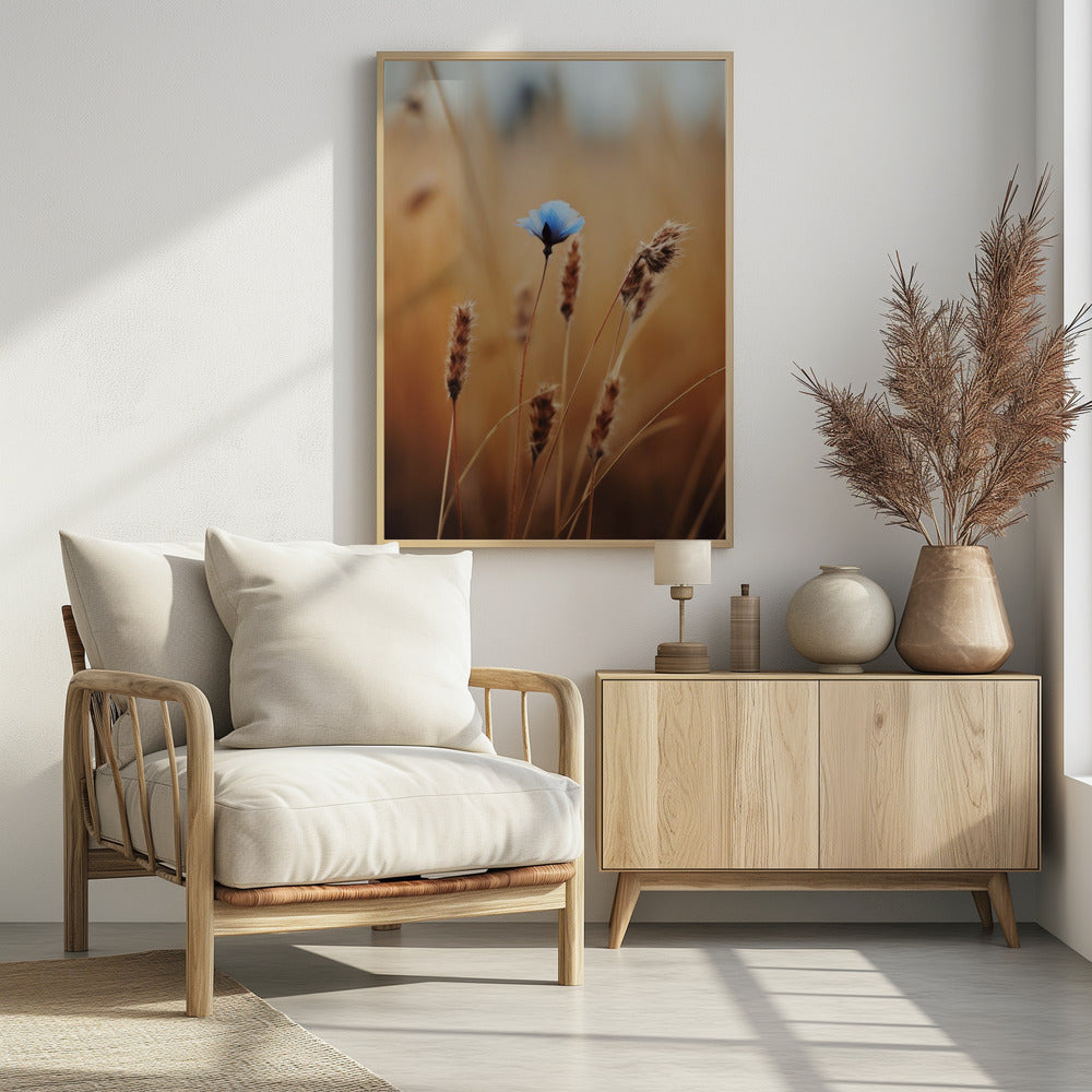 Blue Corn Flower Poster