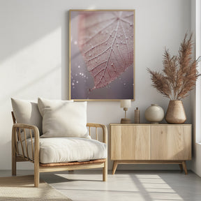 Rosy Leaf Poster