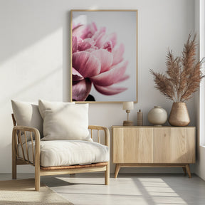 Peony 1 Poster