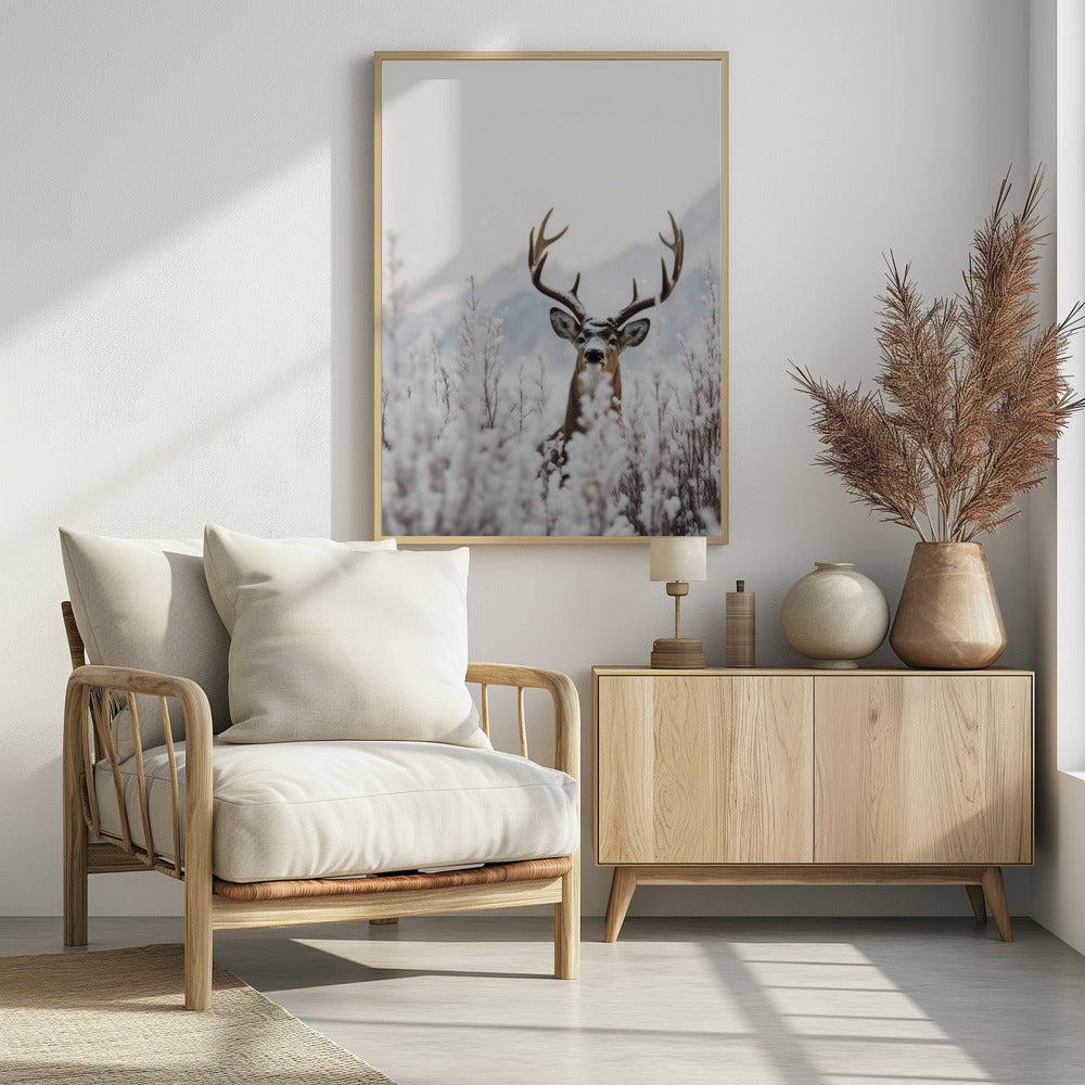 Curious Deer Poster