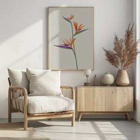 Bird of paradise Poster