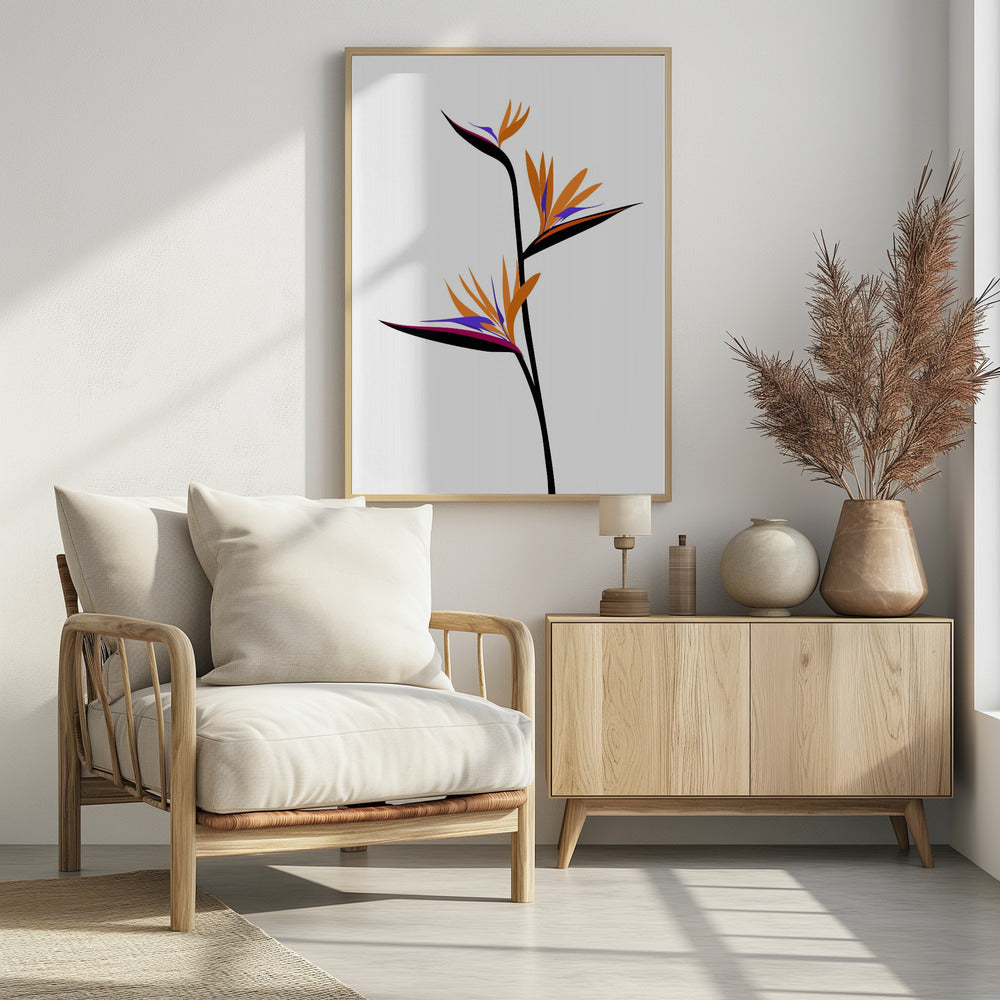 Bird of paradise in black Poster