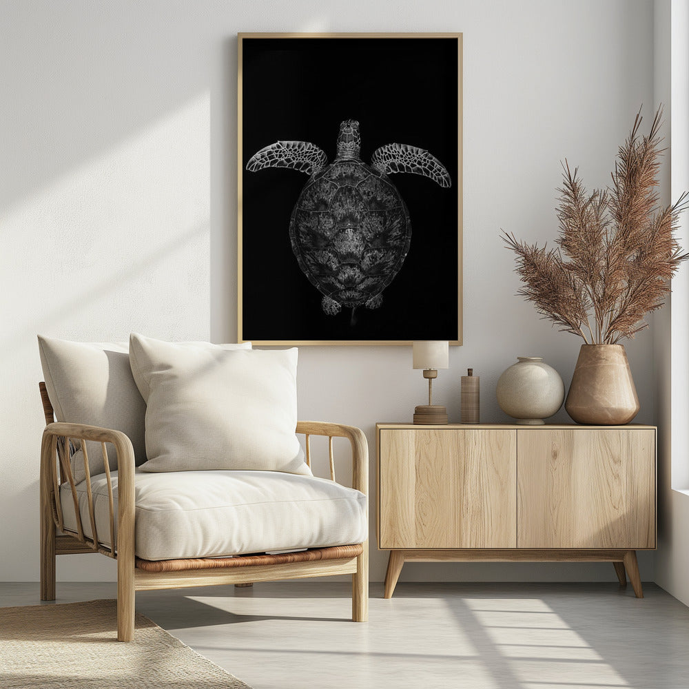 Green turtle on black and white Poster