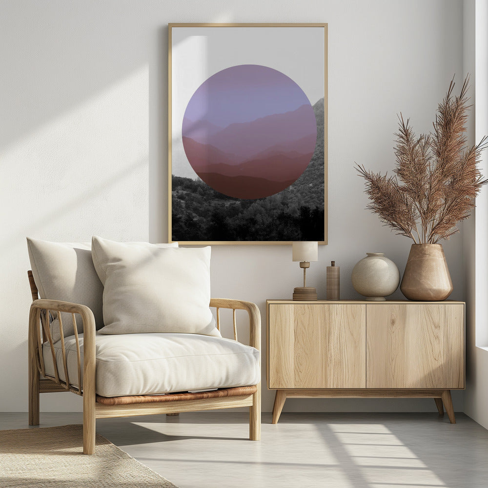 Shapes In Nature III Poster