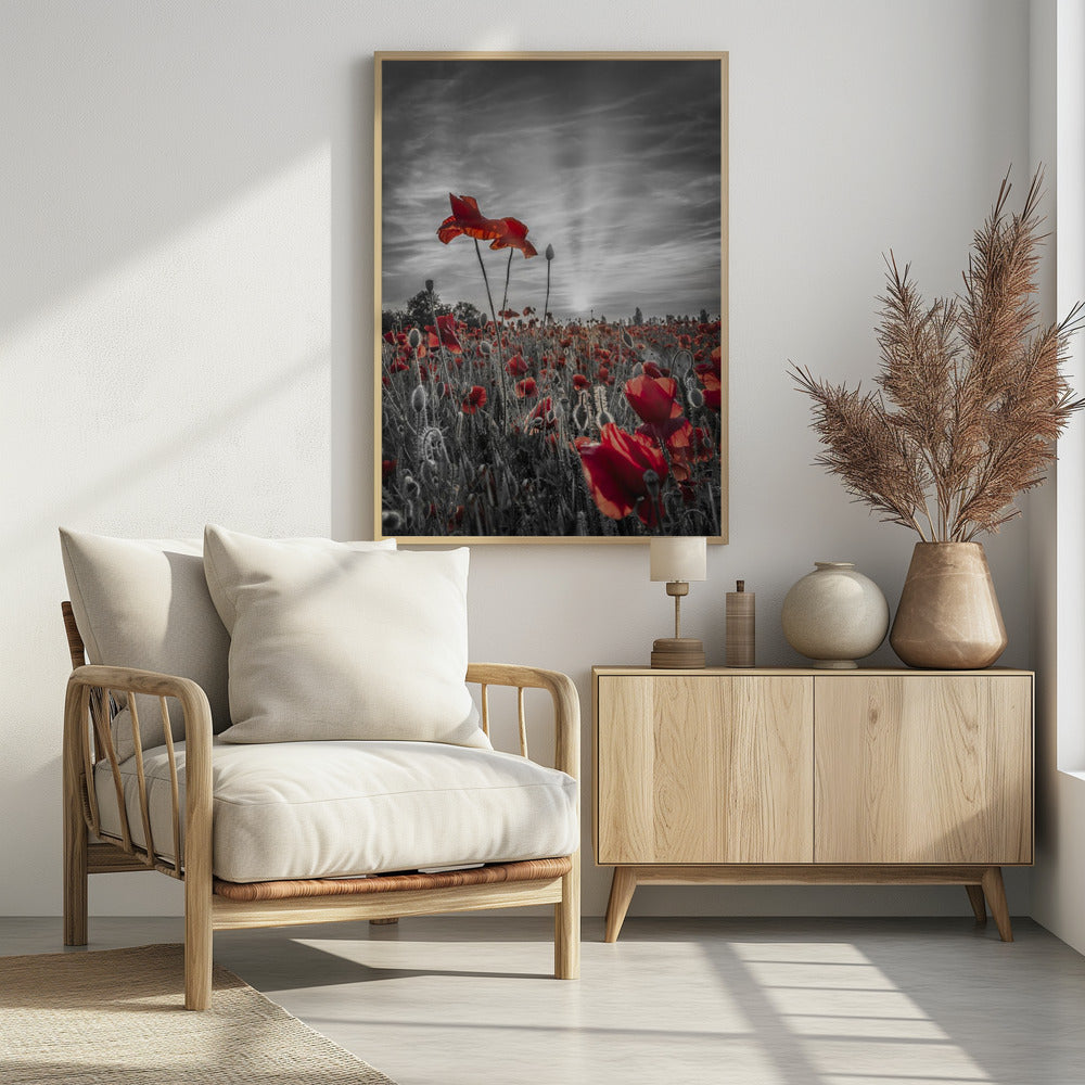 Poppies in sunset | colorkey Poster