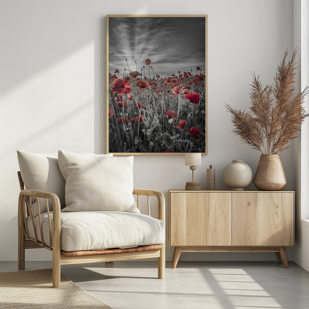 Gorgeous sunset in a poppy field | colorkey Poster