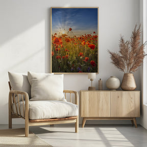 Gorgeous sunset in a poppy field Poster