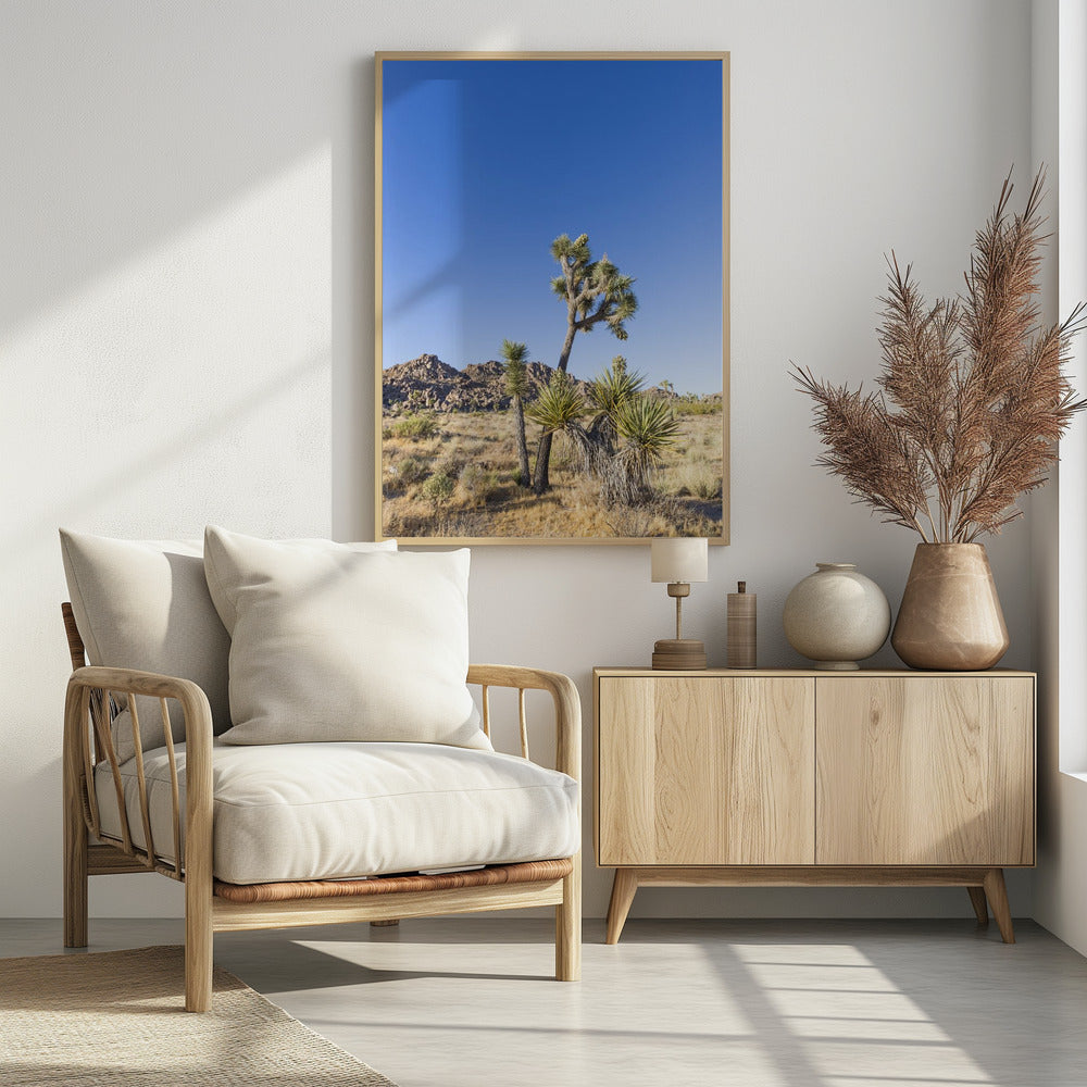 Idyllic Joshua Tree National Park Poster