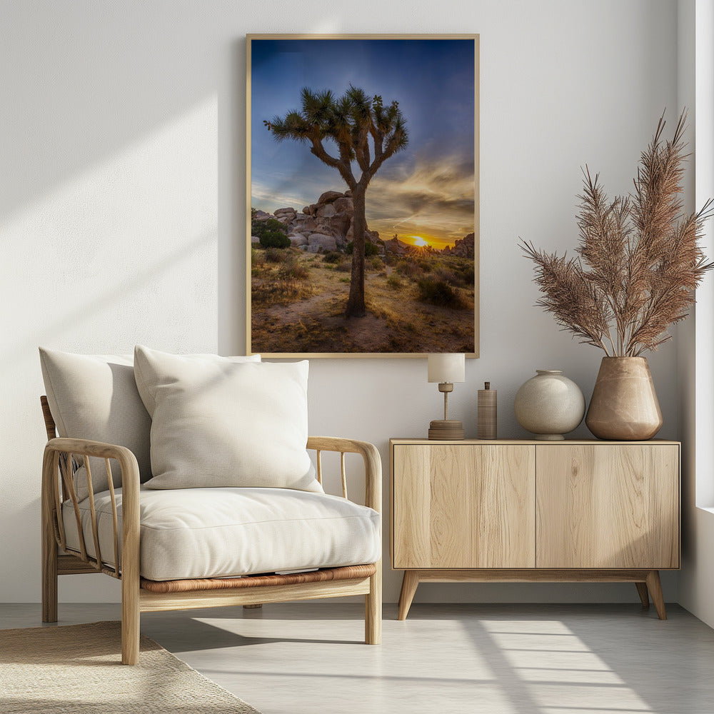 Charming sunset at Joshua Tree National Park Poster