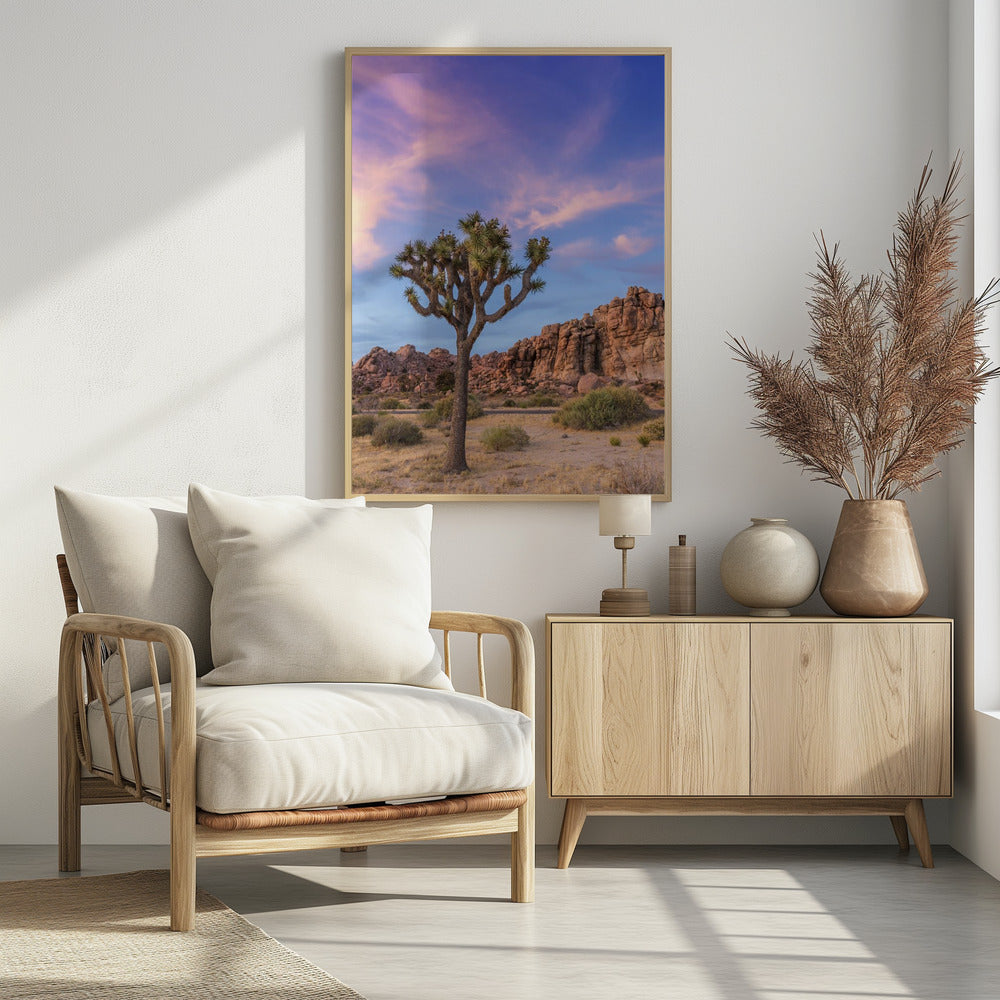 Joshua Tree Evening Atmosphere Poster