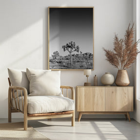 Joshua Trees - monochrome Poster