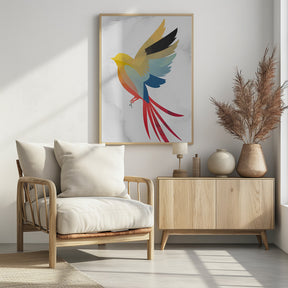 Colorful Bird Poster