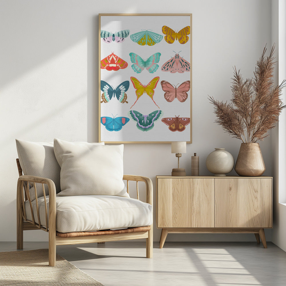 Butterfly Poster