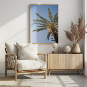 Vejer de La Frontera Palm Tree Poster