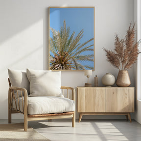 Moroccan Coast Palm Tree Poster