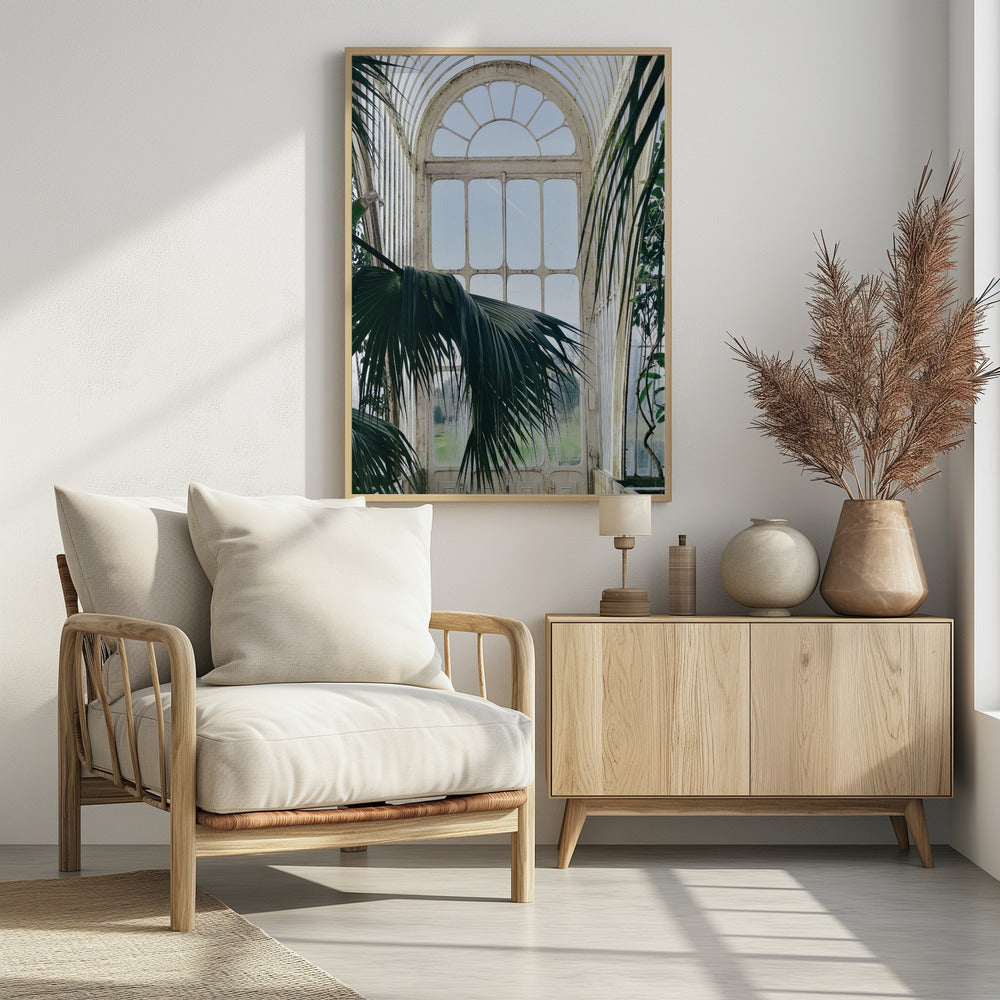 Palm House Windows Poster