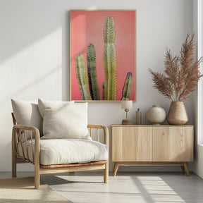 Pretty Pink Cactus Marrakech Poster