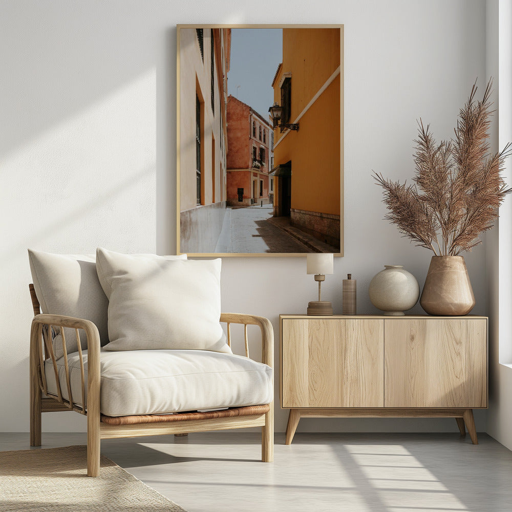 Terracotta Street Poster