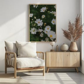 White Flowers Poster