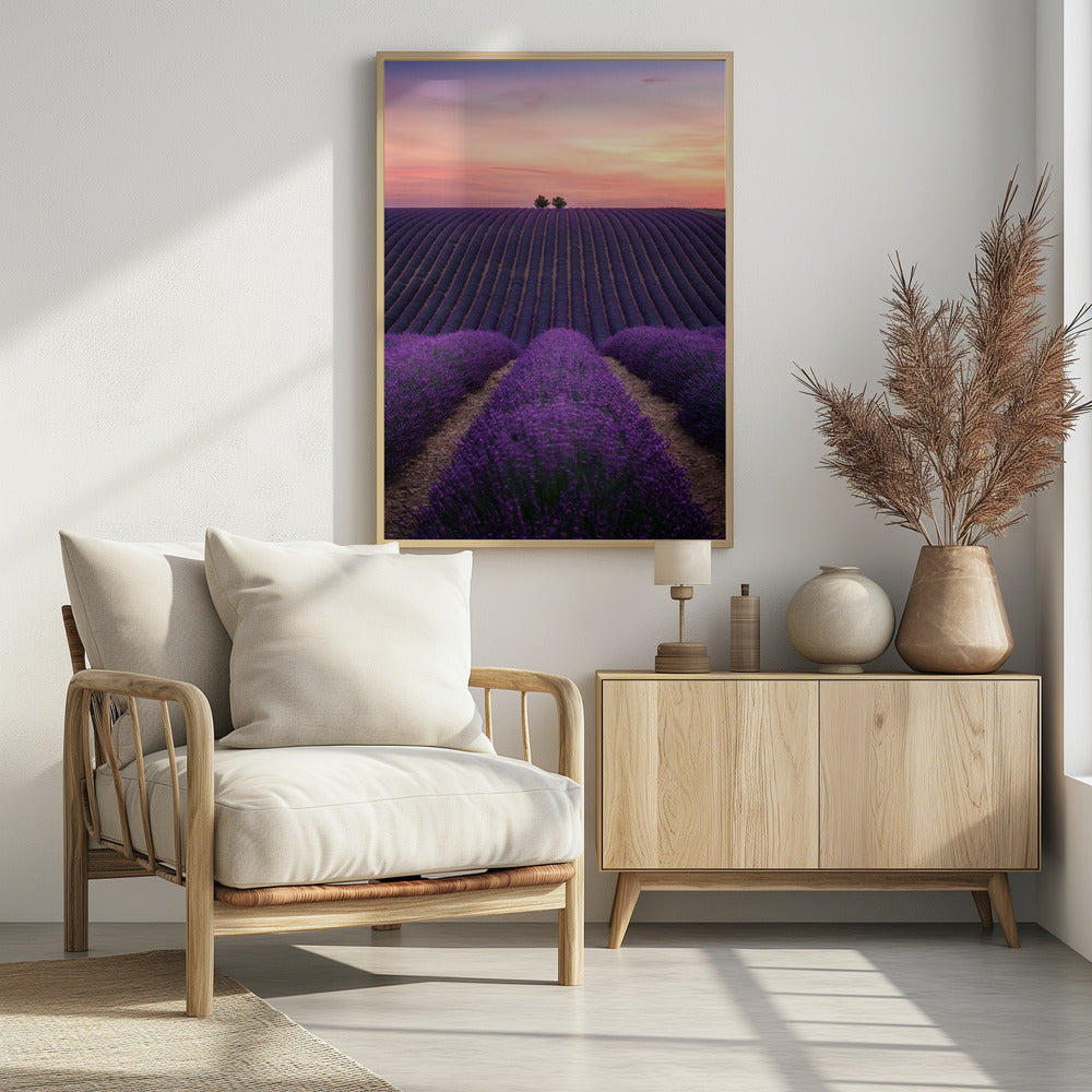 Lavender fild Poster