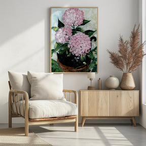 Potted pink hydrangeas Poster