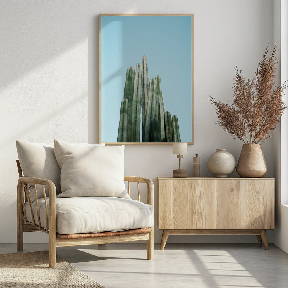 Tall Cacti Poster