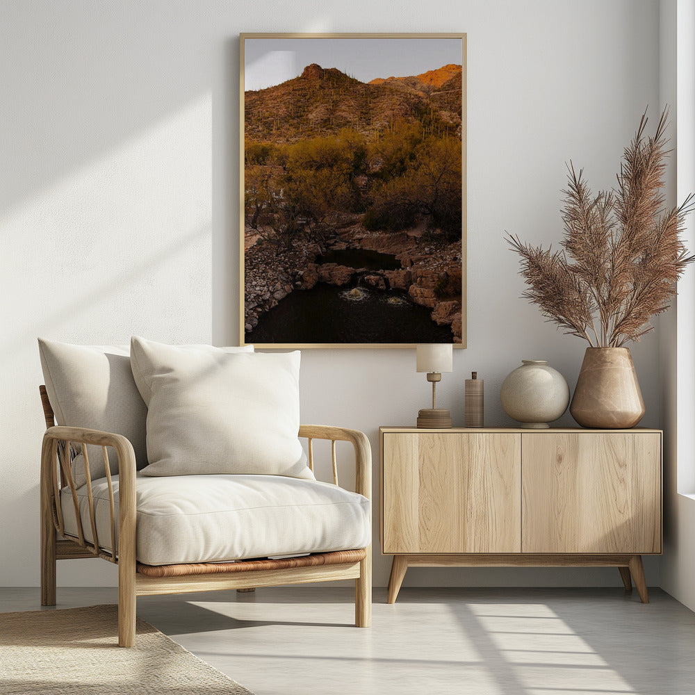 Ventana Canyon Poster