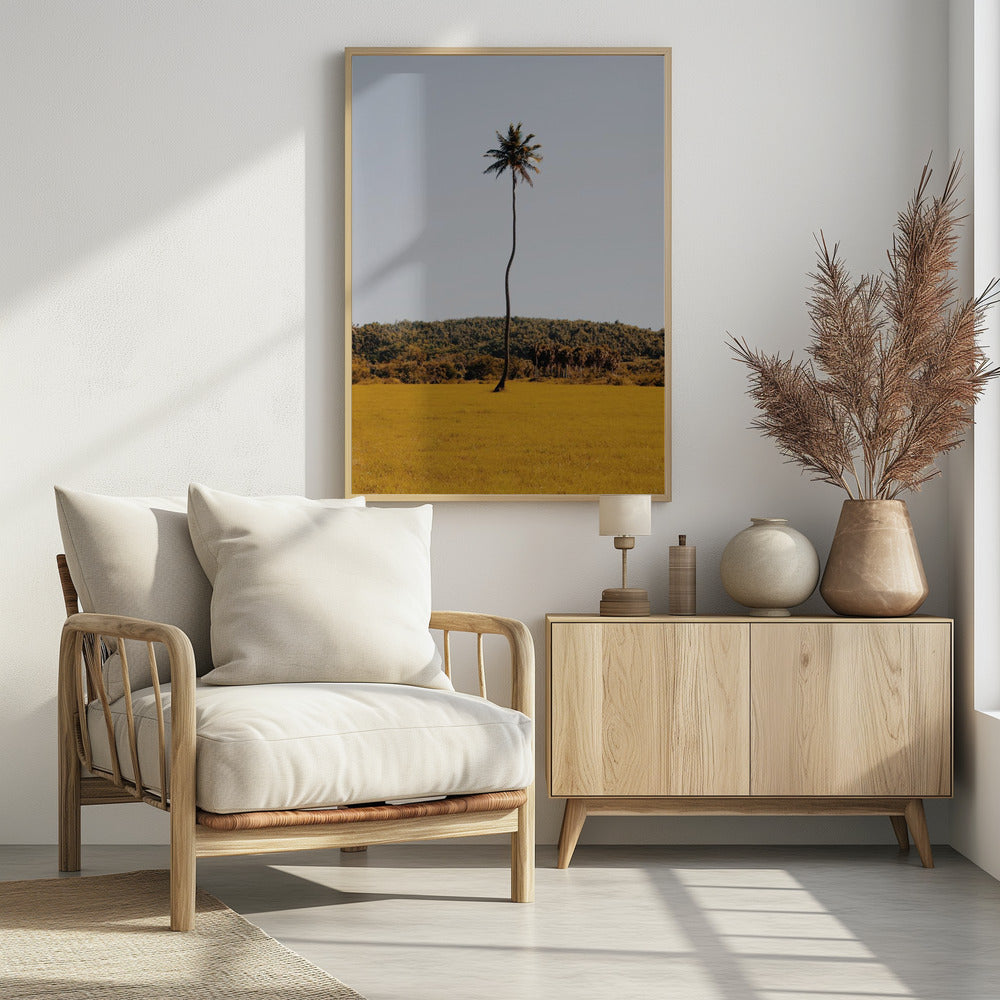 Puerto Rican Palm Tree Poster