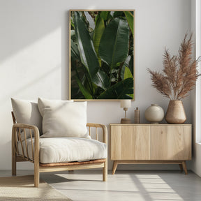 Banana Leaves Poster