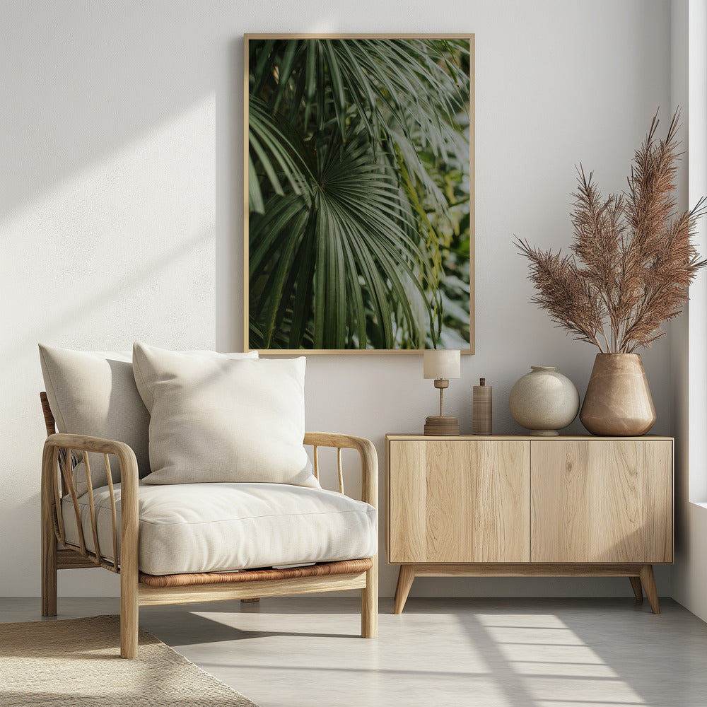 Areca Palm Poster