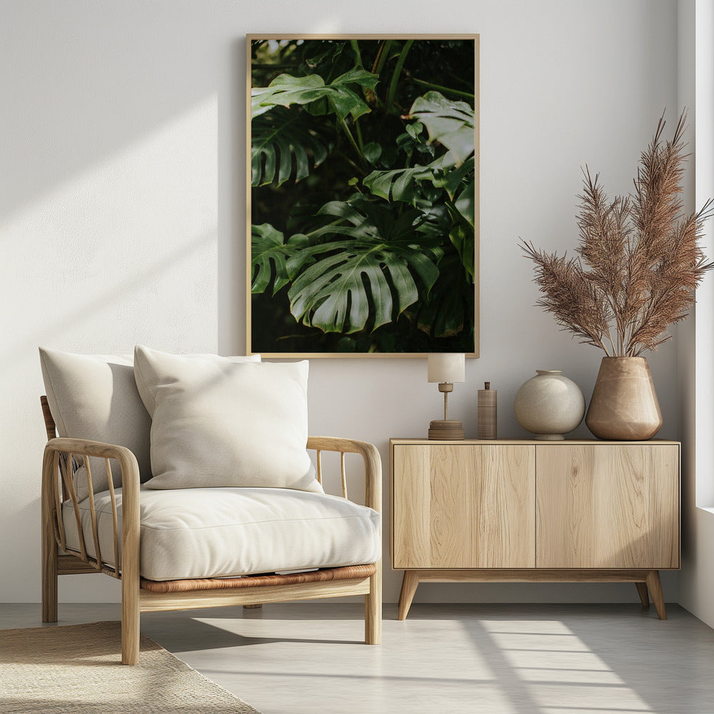 Monstera Leaves Poster