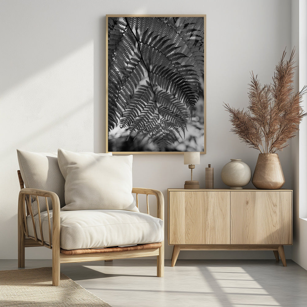 Fern in Black White Poster