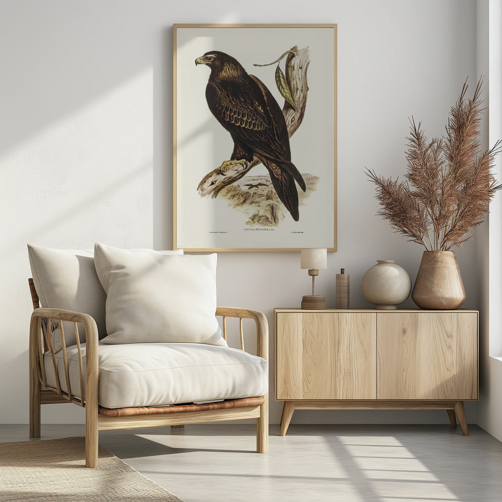 Wedge Tailed Eagle Poster