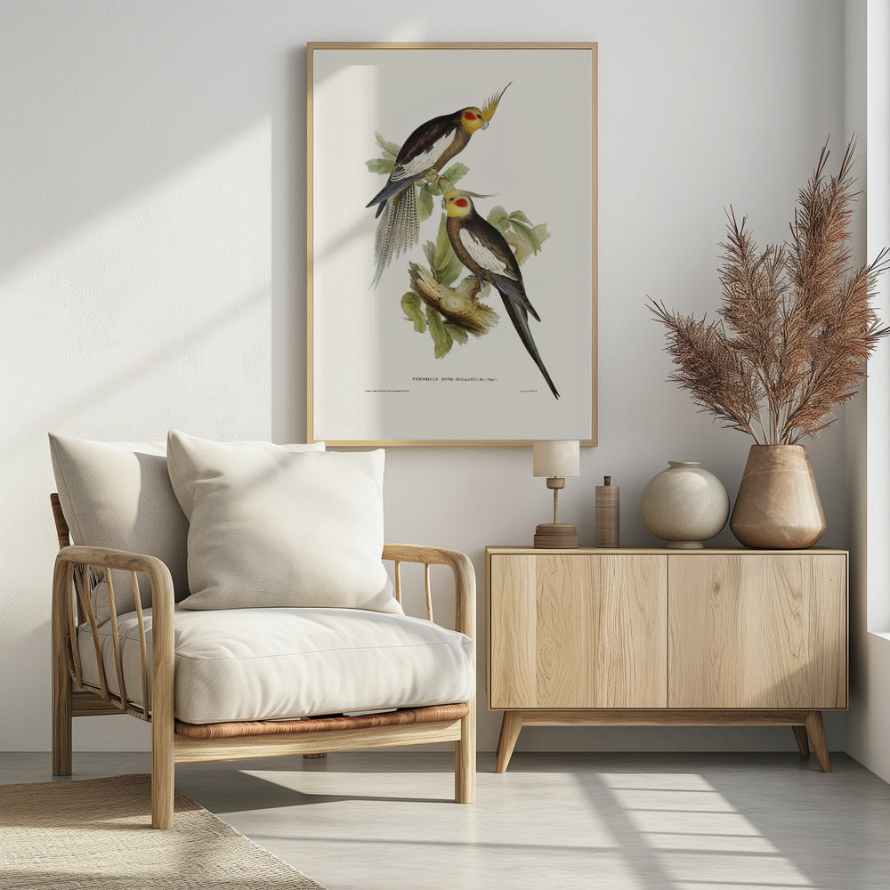 Cockatoo Parakeet Poster