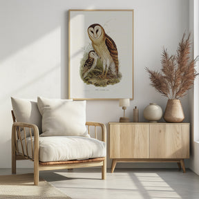 Grass Owl Poster