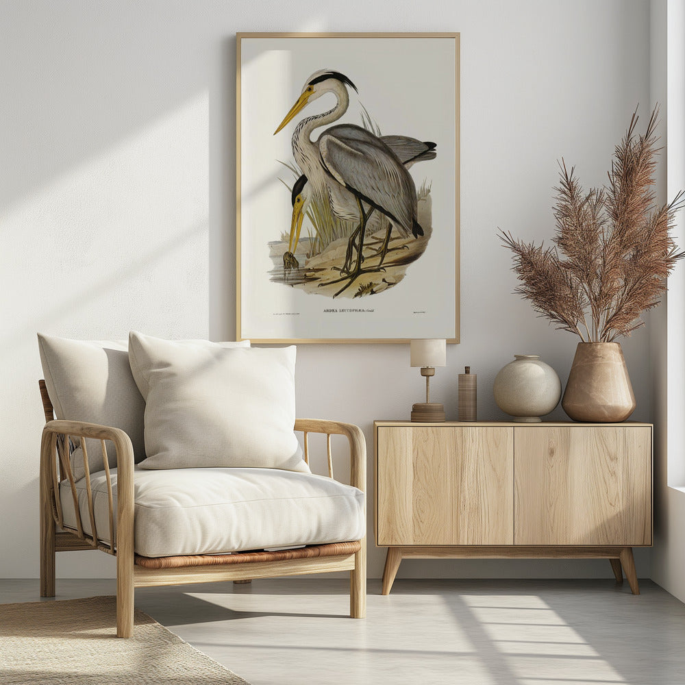 Great Grey Heron Poster