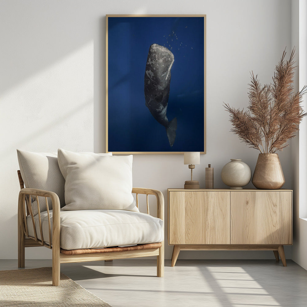 Candle sperm whale Poster