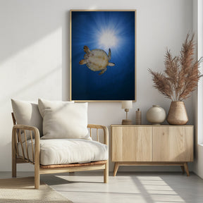 Green turtle Poster