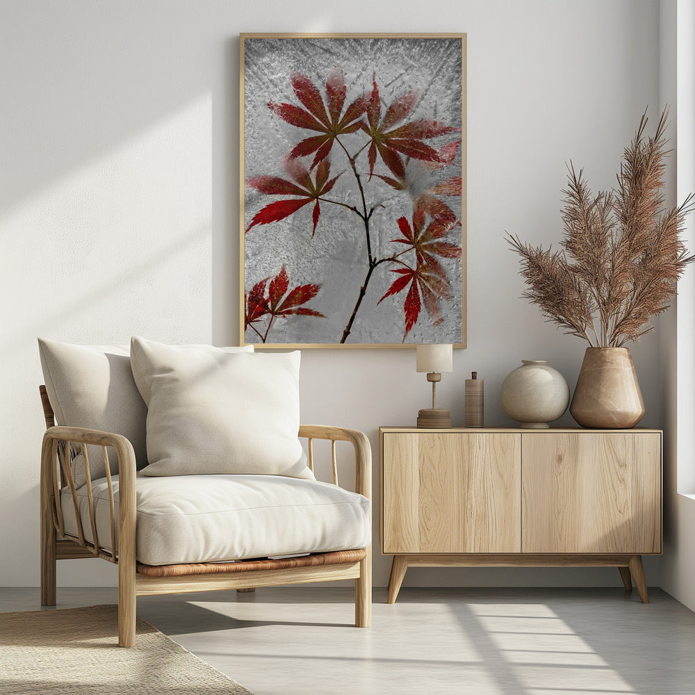 red maple Poster