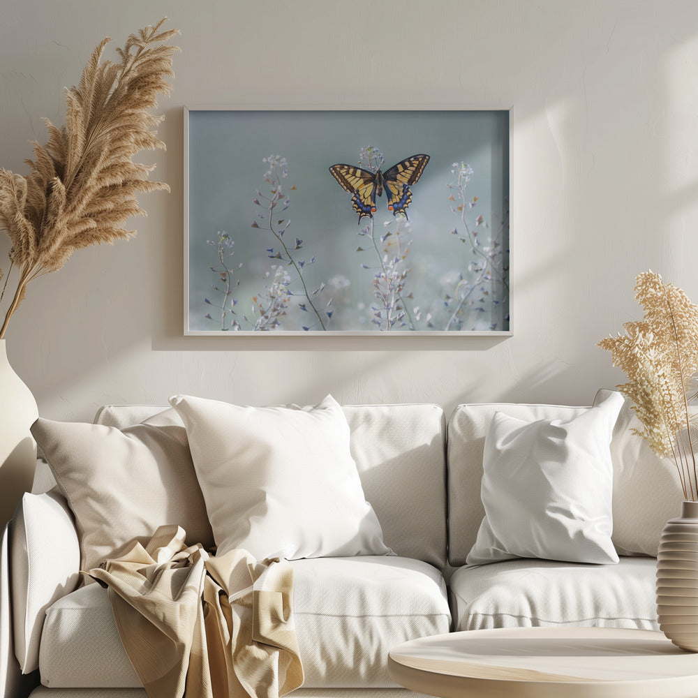 Swallowtail beauty Poster