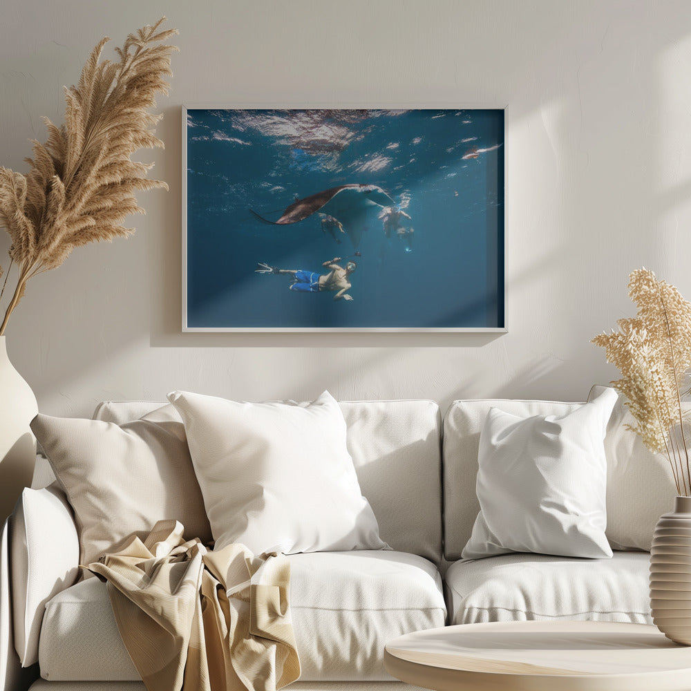 Dive with Manta Ray Poster