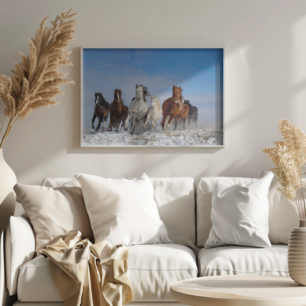 Mongolia Horses Poster