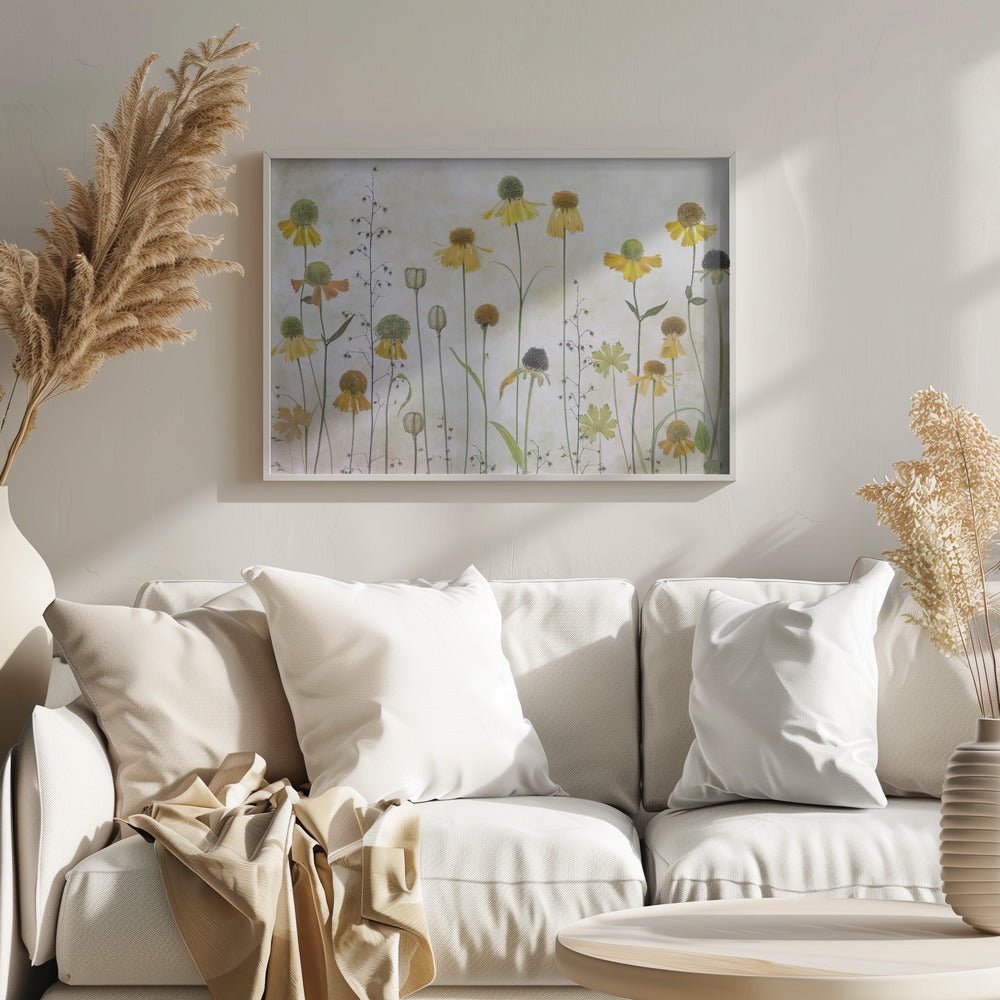 Helenium Poster