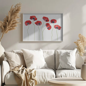 Ladybird Poppies Poster