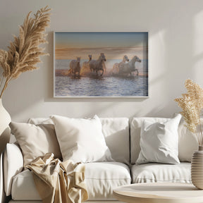 Camargue Horses II Poster