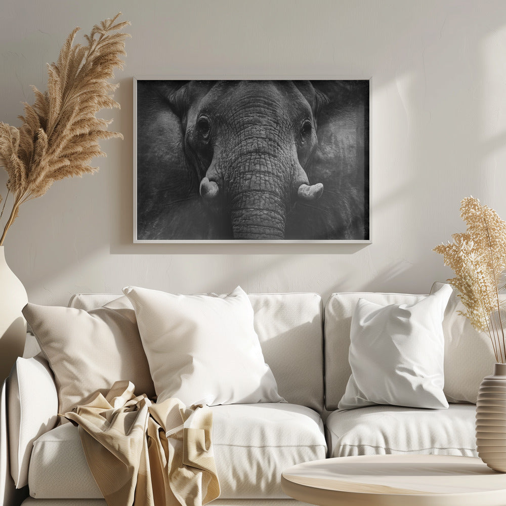 Elephant Poster